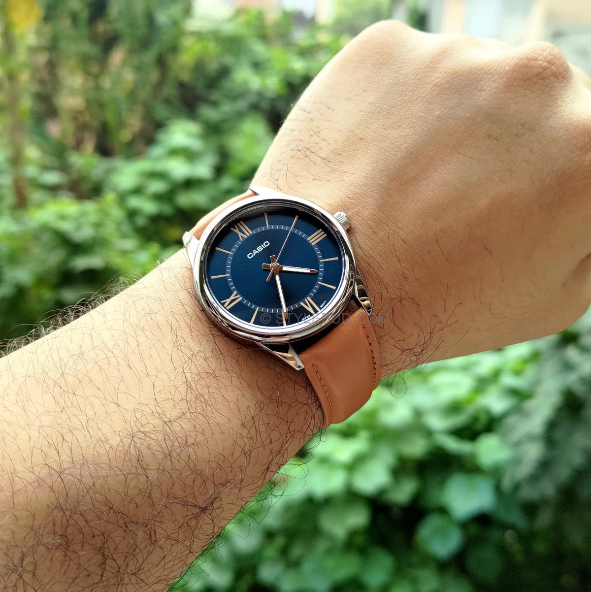 Casio - General - MTP-V005L-2B5UDF