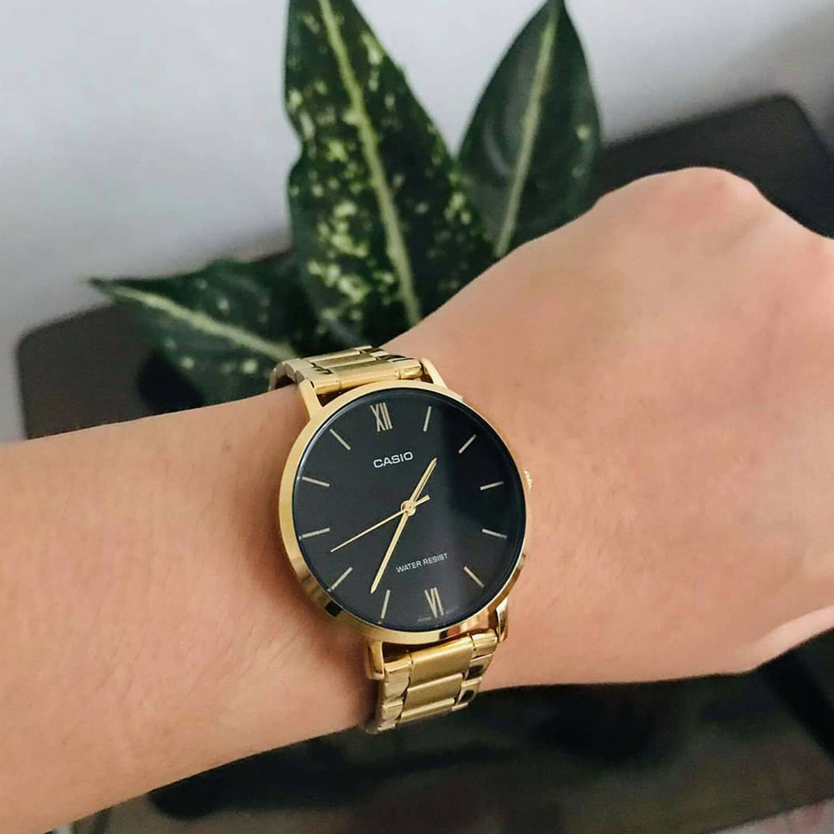 Casio - General - LTP-VT01G-1BUDF - egywatch.com